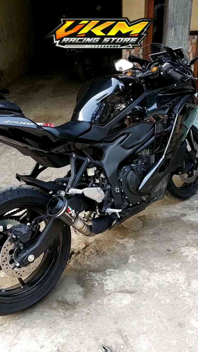 ZX25R/ZX25RR マフラー AUSTIN RACING 風 Knalpot Austin Racing Slip