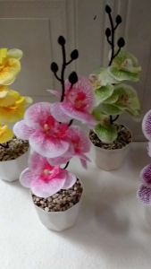 Paket Bunga Anggrek Plastik 5 Warna Hanya 45 Ribu