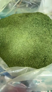 TEH MORINGA ORIGINAL (DIRECT KILANG)