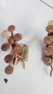 Bonsai Mini Aquascape: Desain Taman Air Untuk Dekorasi