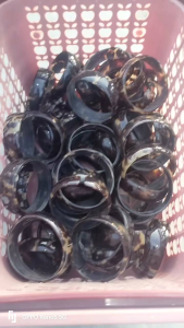 Gelang sisik kulit penyu asli elegan model cembung