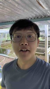 Live Fish | Mix Guppy Premium Grade | 5pcs 10pcs 15pcs