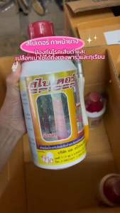 สไปเดอร์ ยาทาหน้ายางกำจัดเชื้อรา ดูดซึมเร็ว ฝนตกไม่ต้องทาซ้ำ เปลือกรัดเร็ว ทาได้ทั้งยางพาราและทุเรียน