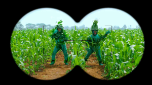 อัลโซซีน (หมาแดง) 1 ลิตร คุม-ฆ่า หญ้าในข้าวโพด ไร่อ้อย ของ หมาแดง 1 ลิตร คุม-ฆ่า หญ้าในข้าวโพด ไร่อ้อย