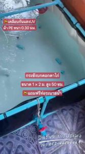 กระชั่งบกตอกตาไก่สูง 50 ซม. หนา 0.30 มม. เคลือบกันแสง UV แถมฟรี ที่ระบายน้ำ