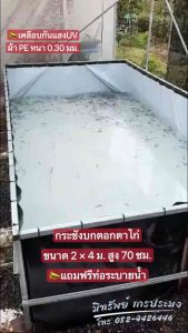 กระชังบกตอกตาไก่ 70 ซม. หนา 0.30 มม. UV แถมฟรี น้ำ