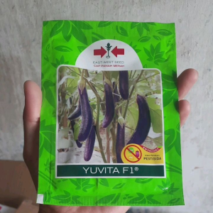 Benih Terong Ungu Yumi YUVITA F1 isi 1.100biji