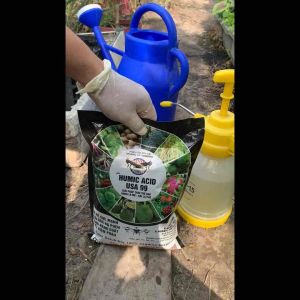 Humic Acid - Cải Tạo Đất Xanh Cây Dưỡng Rễ Phục Hồi Sau Thu Hoạch Nhiễm Mặn Gói 1kg