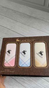 6 Pcs Sapu Tangan Pria Katun 42cm X 42cm Saputangan Premium Selampe Lelaki Cowok