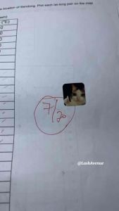 MIXED MEMES STICKER FOR TEACHERS ENCOURAGEMENT STICKERS GRADING STICKERS
