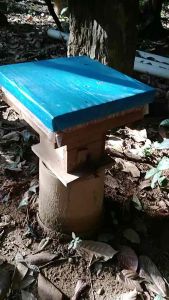 Stingless Bee Honey 200g