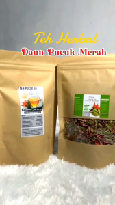 Teh Herbal Daun Pucuk Merah | Herbal Diabetes Imunitas Jantung dll