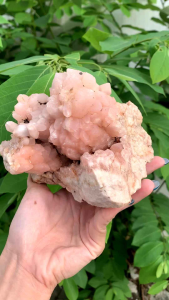 Pink Zeolite Crystal Cluster Pink Zeolite is a rare 粉沸石晶簇是一种比较少见但非常有能量的晶石  粉沸石是一种颜色偏粉、结构细腻的天然矿物晶体，属于沸石家族。它常以晶簇形式出现，形状如花朵或针状排列，具有柔和的外观。 它被认为具有以下功效：  疗愈情绪、舒缓压力  增强心轮能量，带来爱与安定感  有助于冥想与心灵成长  平衡磁场，净化负能量