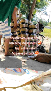 MUSHROOM SEEDS 50 PER PACKS 10PACKS IS 500 PESOS