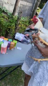 Belamax Vitamin B-Complex with Liver Extract 100ml