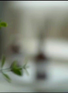 Scent Out Premium Essential 0il ReedDiffuser Room Fragrance Aromatherapy Aroma Diffuser