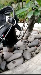 HEELS CASANDRA BY SHABI. SHOP