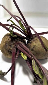 Bột Củ Dền Nguyên Chất SATACHI – 100% củ dền tươi không đường – Hộp 68g