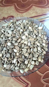 40 BIJI BENIH PARE UNGGUL