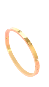 gelang tangan titanium viral