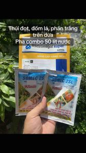 Bộ đôi phòng bệnh cháy lá đốm lá thối đọt phấn trắng trên dừa pha 50 lít nước (1g ridomilgold-2g somec 2sl)