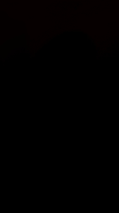 NEW Sepatu Badminton YONEX MACH 2  Series (Original)