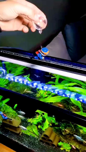 Floating Diver Aquarium Decoration Multi Colour Luminous Glow In The Dark