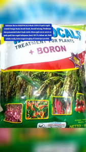 Kalsium Boron MASTOCALS 1 Kg Pencegah Rontok Bunga buah Pembesar buah umbi pencegah asem asemen tanaman padi