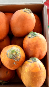 #หมากสุก หมากเหลือง 2กิโล 300 หมากนอกฤดู ตัดจากต้นไม่ใช่หมากร่วงใหม่สดทุกลูก