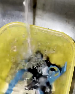 Jam Tangan Sport Pria Wanita Skymax 1810g Waterproof Standar Miiter Anti Air