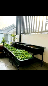 Kệ Bậc Thang 2 Tầng Trồng Rau Thông Minh Lắp Ráp Siêu Nhanh Cho Khay 65×43×18