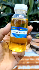 Bibit Parfum Non Alkohol Berkualitas Premium Wangi Tahan Seharian 100ml Varian Aroma 700++