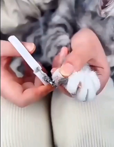 Gunting Kuku Kucing Pemotong Kuku Hewan Peliharaan Pemotong Kuku Anjing Pemangkas Kuku Kaki Perlengkapan Perawatan