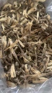 Nấm Lộc Nhung Khô [ Loại 1] Nguyên Cây Không Vụn- Bồi Bổ Sức Khoẻ.