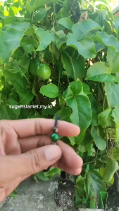 Gelang Hitam Polos Split Batu Alam Grandjade