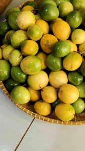 Buah Markisa Matang Segar Petik Order 500 Gr