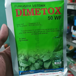 Fungisida sistemik DIMETOX 50WP | untuk kentang jagung cabai