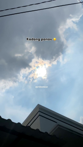 Propolis Maxi SR12 Asli Buatan Indonesia 100% Original Membantu Meningkatkan Kesehatan Tubuh Mengobati Penyakit Paruh