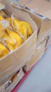 1 con Gà ủ muối Thái Nguyên - GIAO LIỀN (có đầu)