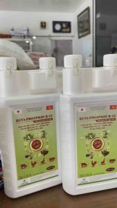 Buta Phosphan B12 chai 1 lít tăng lực tăng trọng thèm ăn tái tạo tế bào gan giải độc gan gà đá gà chọi gia cầm