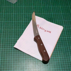 Pisau Boning Lengkung Carne 6\\\" Venge Wood: Desain Ergonomis & Berkualitas Tinggi