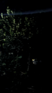 Lampu Rotary Blitz 2mode Kedip 4Led Toples Besar 12v 24v