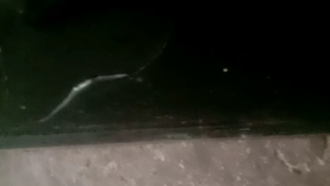 How to Replace the Motherboard for Your TCL LED29F5450