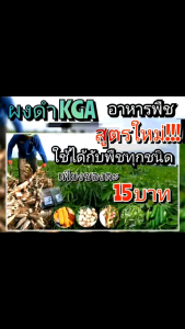 ผงดำ KGA ฮิวมิคไออน (1 ชุด มี 10 ซอง)