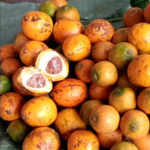 #หมากสุก หมากสด หมากแก่ หมากเหลือง หมากออแกนิค ปลอดสารเคมีทุกชนิด หมากคัดพิเศษ เคี้ยวมัน เคี้ยวเพลิน อรอ่ยน่ารับประทาน 2 kg. 369 ฿