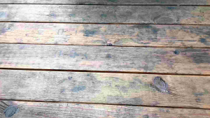 Celana Dalam Anak GOLDEN NICK 1188 | Celana Dalam Anak Cewek Set 3 & 6 Pcs | CD Anak Perempuan Golden Nick | CD Anak Cewek Terlaris Bahan Lembut Motif Bordir | Pakaian Dalam Anak | LUCKY JO21