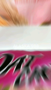 NARAYA OAT CHOCO ISI 40 PCS