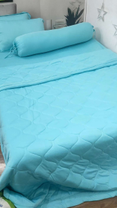 Bộ chăn ga thun HÀN QUỐC mịn mát màu xanh ngọc