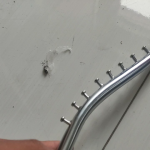 Hanger Baju Suling Tembok 12 Paku Belalai