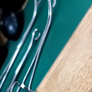 Hilbro foerster sponge forcep serrated str 25&foerster sponge forcep serrated cvd 25 cm